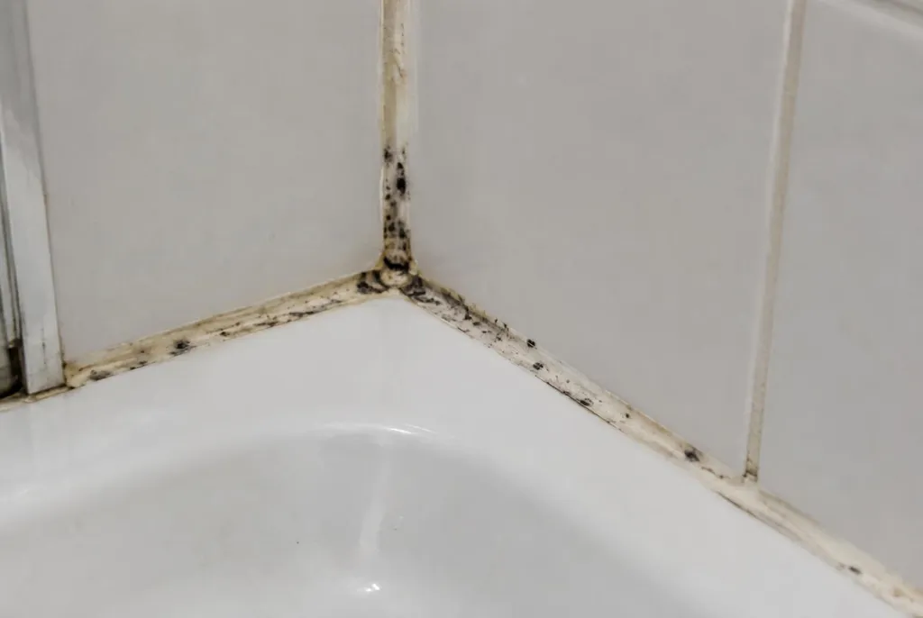 Kitbedrijf Hillegom – beschimmelde kitranden